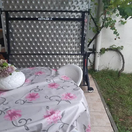 Con Patio E Giardino Vicino Apartment