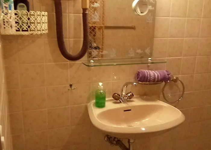 Con Patio E Giardino Vicino モントルー